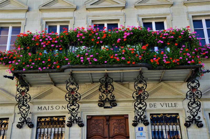 FRIBURGO-4-9-2019 - Suiza y sus pueblos-2019 (28)