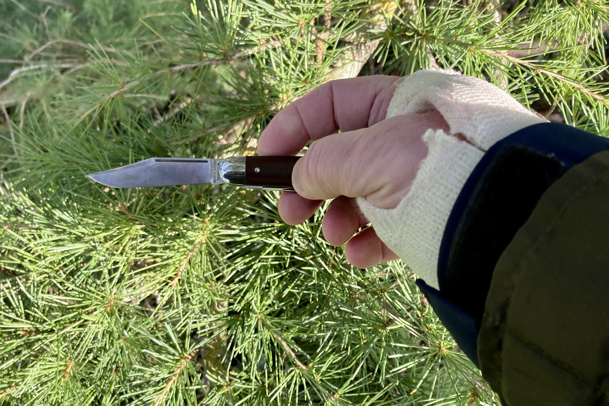 247BBBB5-51D4-41A9-9869-8E92019685A5