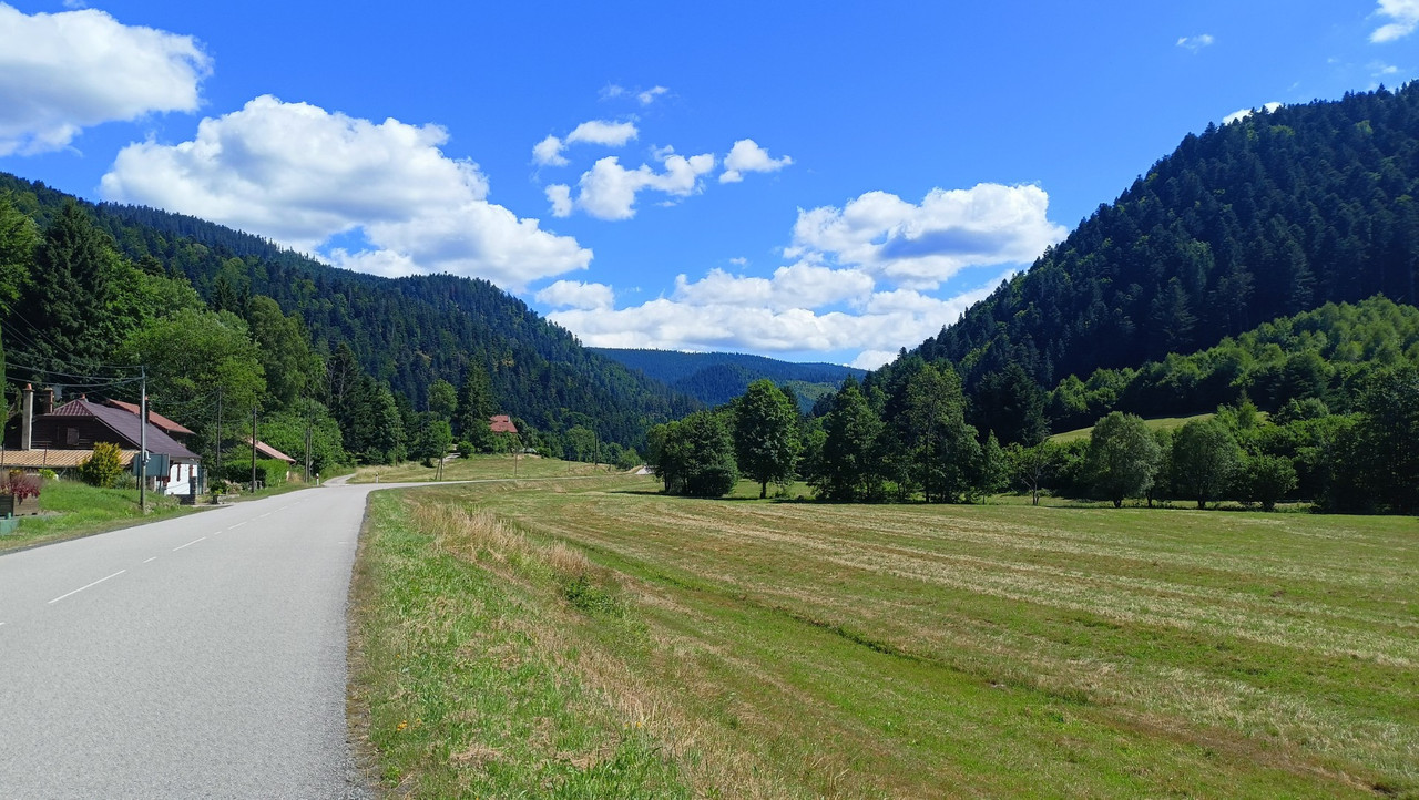 IMG20250628154645 (Large)