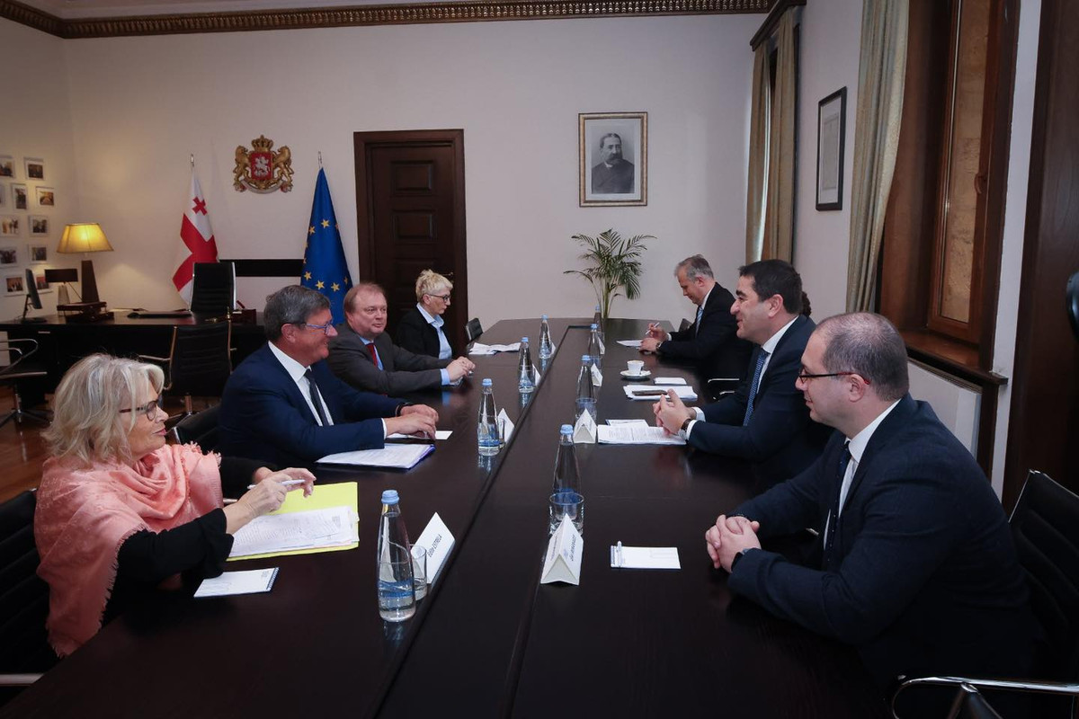 შალვა პაპუაშვილი ევროპის საბჭოს საპარლამენტო ასამბლეის მონიტორინგის კომიტეტის წევრებს შეხვდა