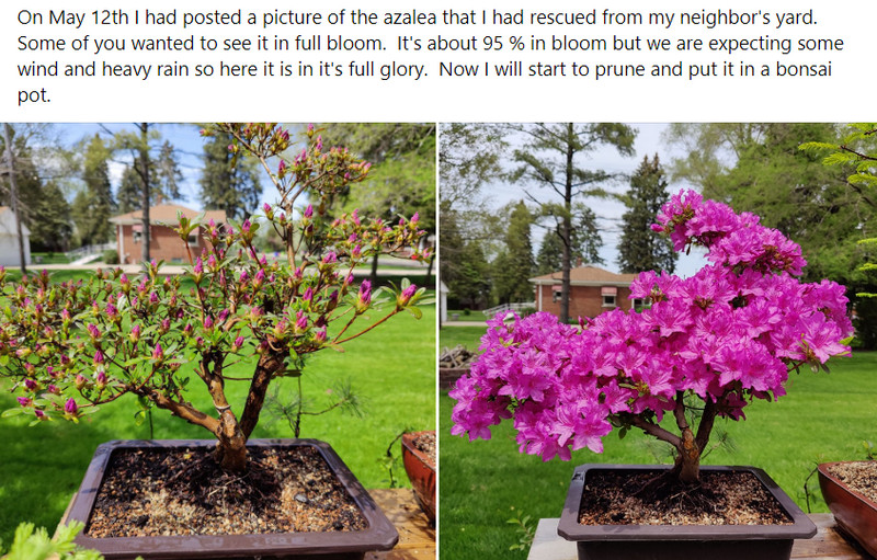 [Image: 2024-04-21-092934.jpg]