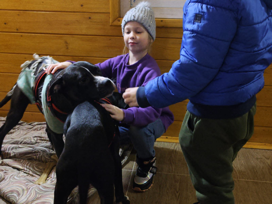 4963C7CF-BA49-4309-8C81-0C73CCFBE4CE