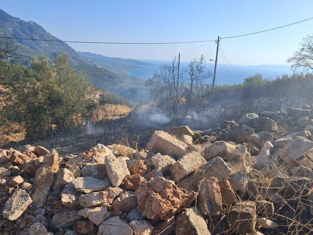 εικόνα_Viber_2025-09-10_17-45-15-262