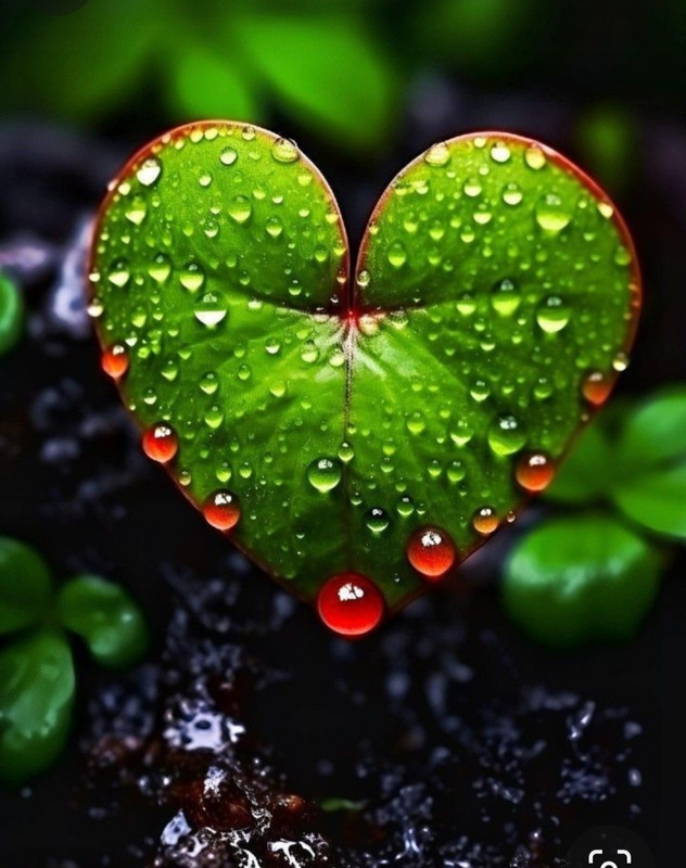 Screenshot_20240214_172443_Pinterest