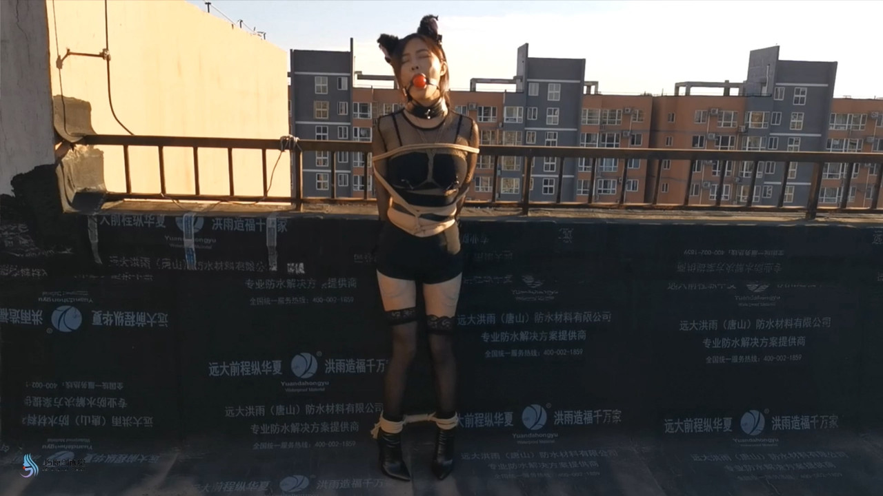 JS原创 露台上的猫女郎.mp4_20220102_131143.162