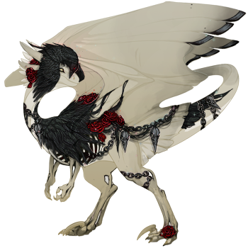 dummy-5.png