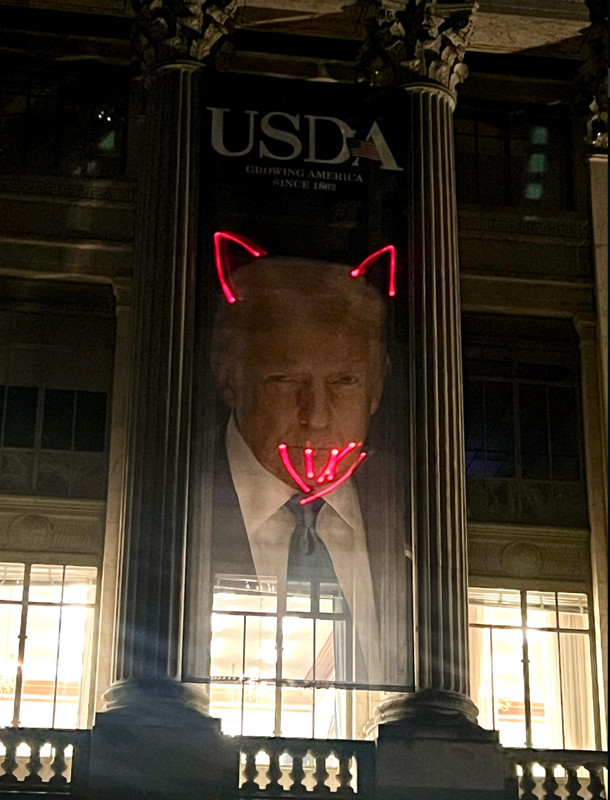 Kate Klonick: Fun little Friday night exercising First Amendment rights ...