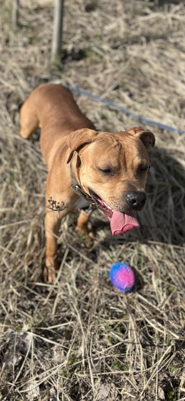 E004726A-476A-4F24-B0CA-187BF96445AC