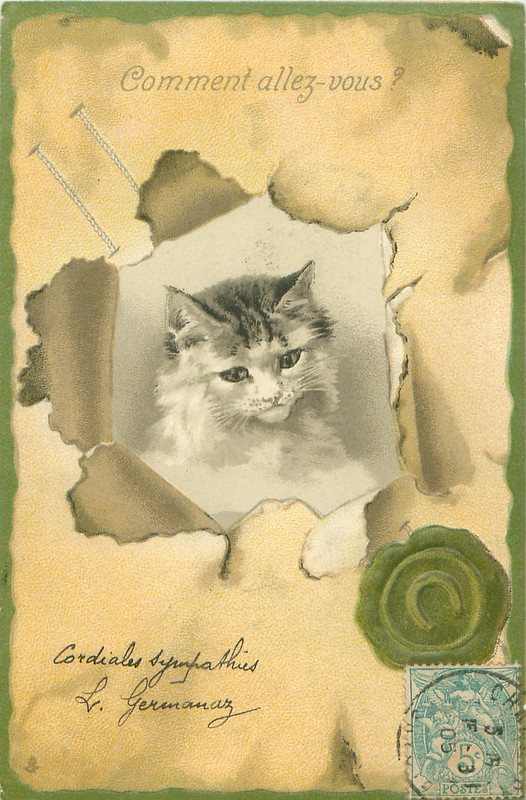 08-2011-07-09-07-05-51