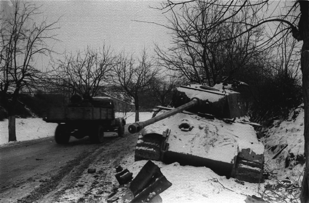 нем пантера 7гва венгр4445