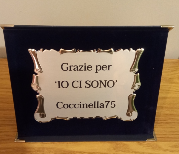 salvocatania_coccinella_2-1