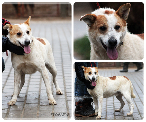 BeFunky-collage (22)