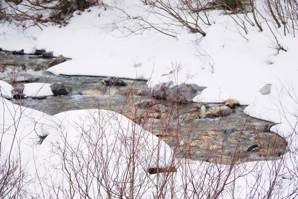 615781357-25461739113449002-7937213340796461726-n