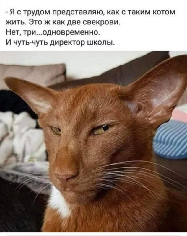 [Изображение: image.jpg]