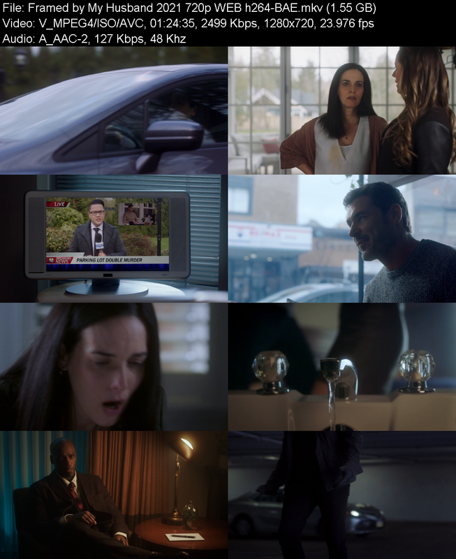 framed-by-my-husband-2021-720p-web-h264-bae.png