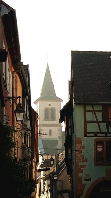 ALSACIA EN NAVIDAD Y MONTREUX CON PAPÁ NOEL - Blogs de Europa Central - 4 Dic: Riquewihr y vuelta a Basilea por la huelga (7)