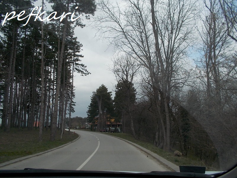 Slika
