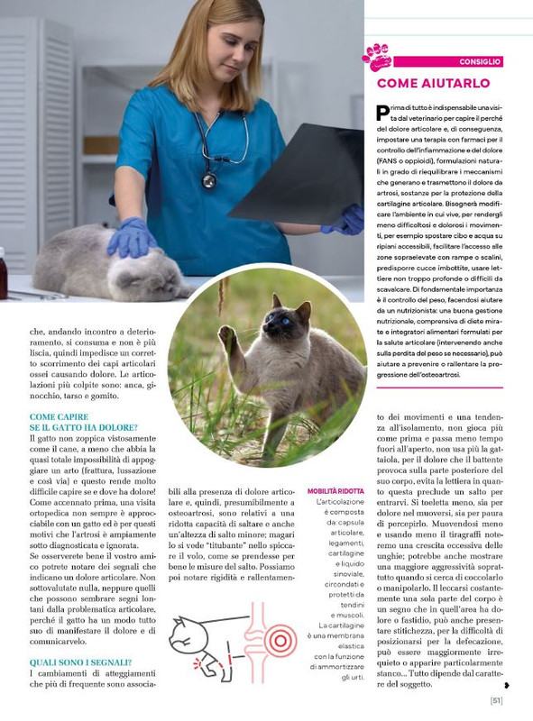 Ga Ma Ott-Nov 2024 (6)