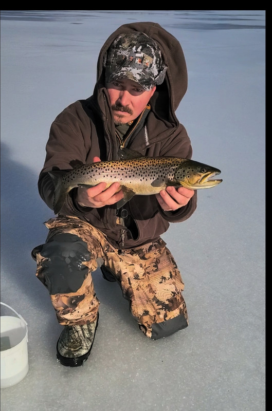 CE34B24E-5EEB-489D-B31B-1DC71F9F552B