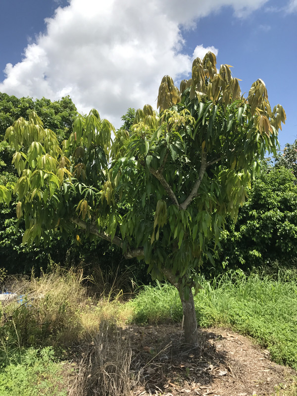 2BF49369-BE32-41A6-8199-02C866301D89