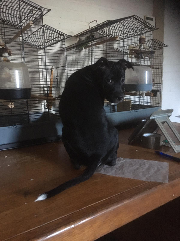 55896F51-FC03-4B3C-9976-ECEE0CE04BA8