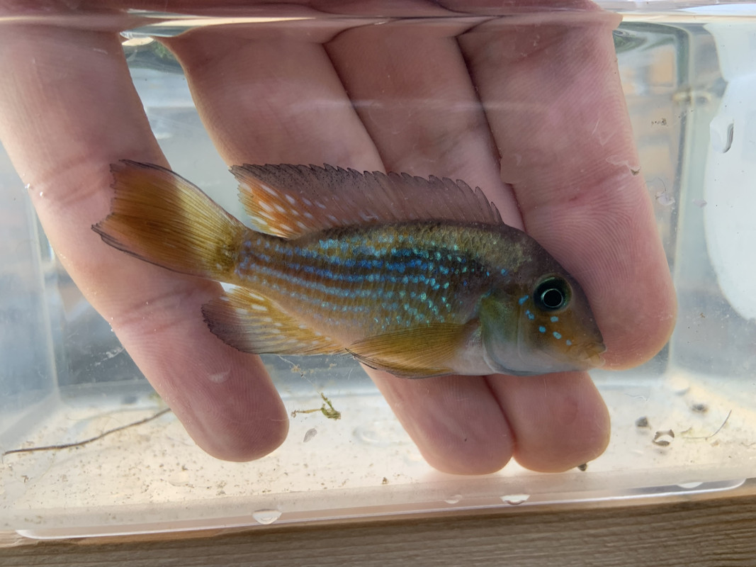 ED9C51E6-869A-4B65-B168-A1C8F923C32A