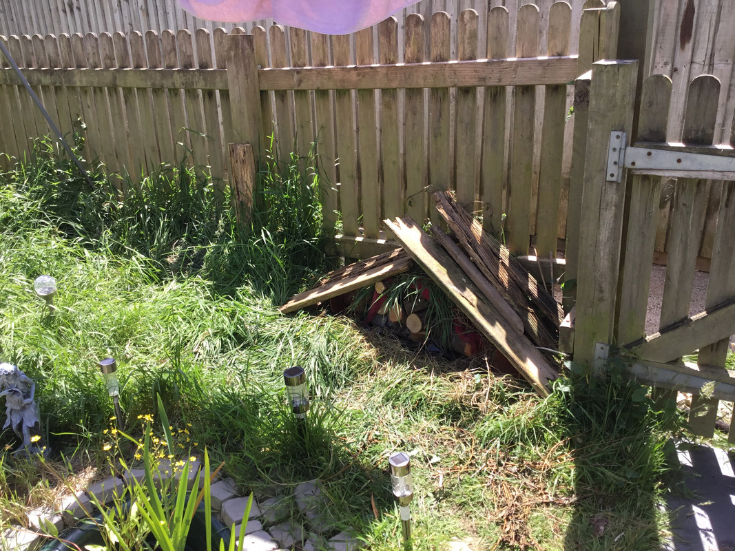 C51394DB-8800-4776-9F6C-FD6C890649F4