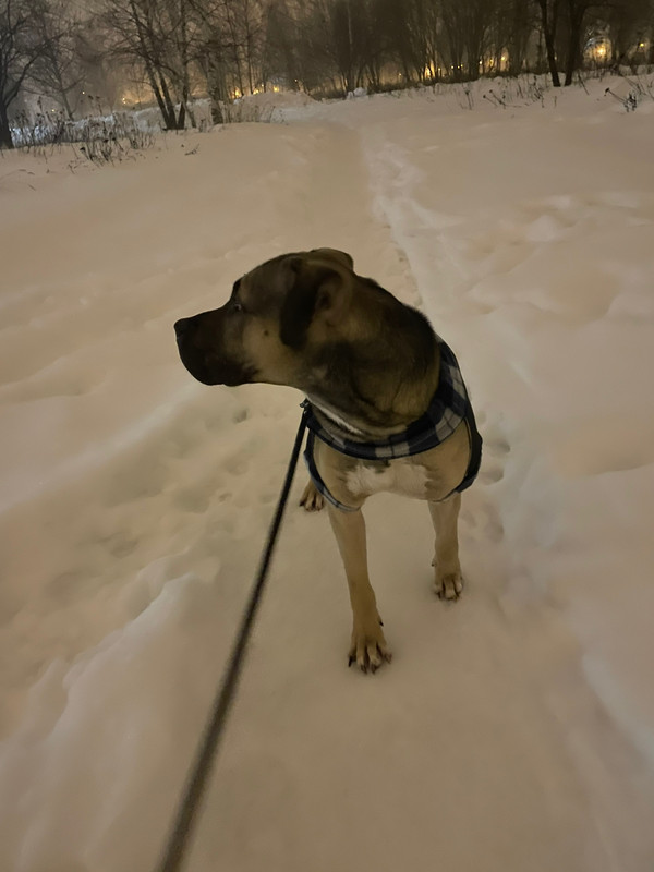 02847687-6A2F-43FB-9C3B-3BD949559CED