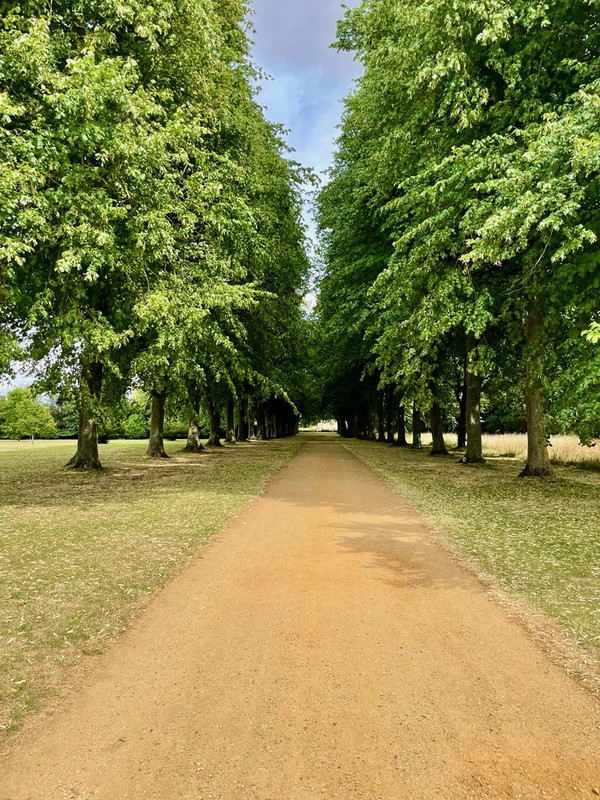 IMG-8234.jpg