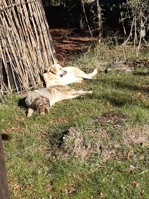 [Image: 20240526-113624.jpg]