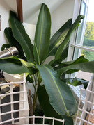 3E46B5A2-0A21-45D2-B283-CF3E75A7B8D6