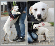 Be-Funky-collage-15.jpg&key=7ca8ae1cb092