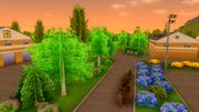 Desktop-02-06-2026-19-37-20-142