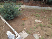 IMG-4983