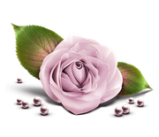 TADD-elements-Last-Dance-In-Paris-72