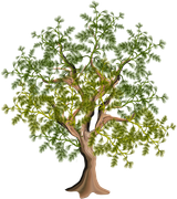 GlamourGirl_MM_Element (101)