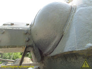 IMG-5498