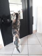 WILLOW 20190511-160253