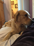 image_2023-02-02_231657517