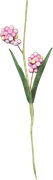 Blossom-Elements-130