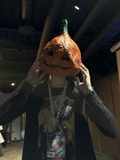 IMG-0728