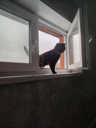 8photo-2025-12-01-14-37-38-(4)