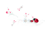 3c54d17b.png