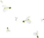 0-1c0e08-c5516402-orig