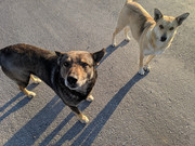 IMG-20190406-184333