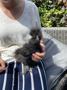 59D373A7-DAAE-4AC8-9501-AAFDBA0DFA35