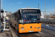 IMG-3029
