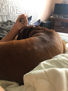 E2CF56D7-2586-4708-847C-3D208C82D847