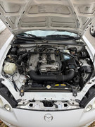 [Immagine: 572269113-10162459878383870-2498952590196295780-n.jpg]