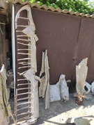 440904647_1471064780159988_1202761013603607238_n